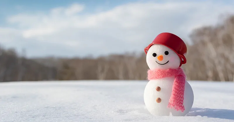 年末の予定はなにー？