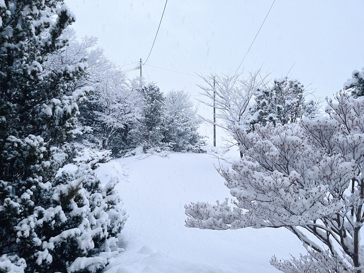 最近彼と話せてないです！