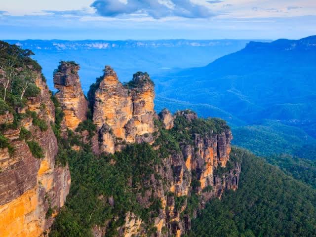 ブルーマウンテン山脈の限られた農園で採れたものしか "ブルーマウンテン"って名乗れないの知ってるよね？