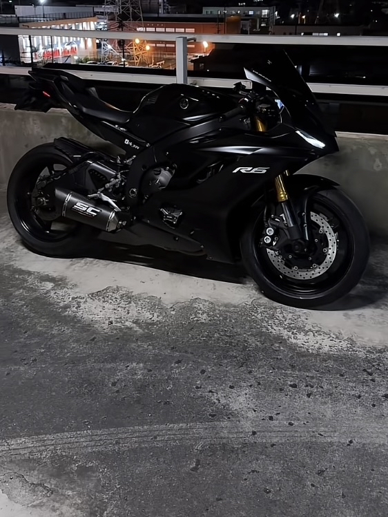 ディズニーランド