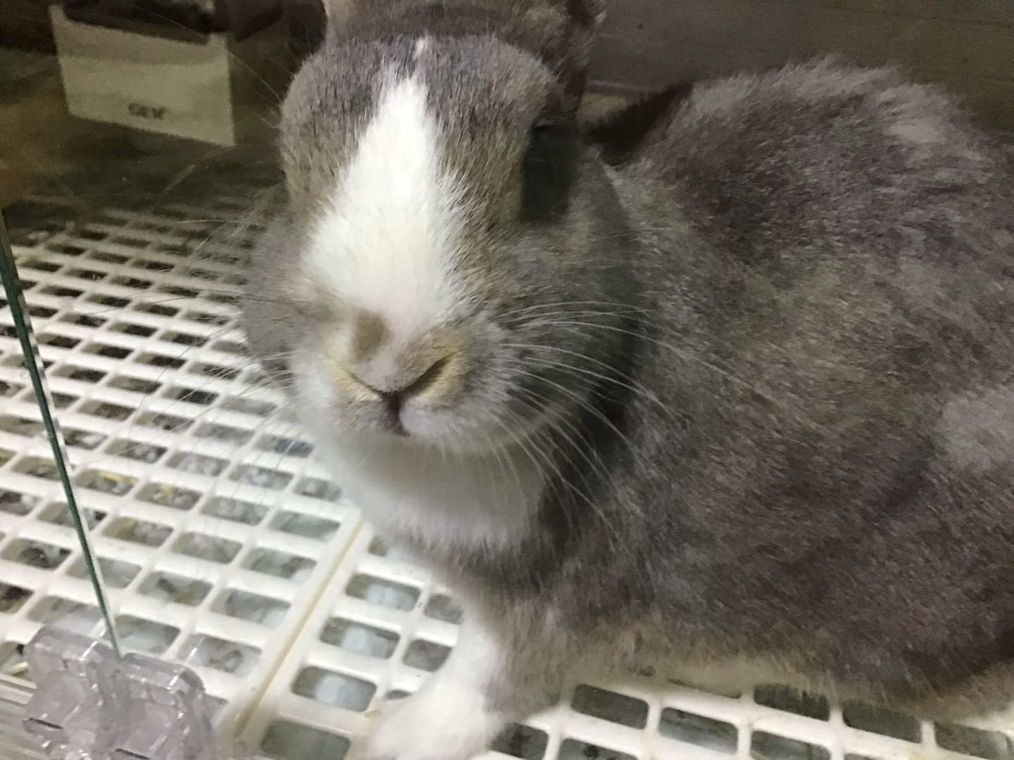 息くさいっ言われたら？