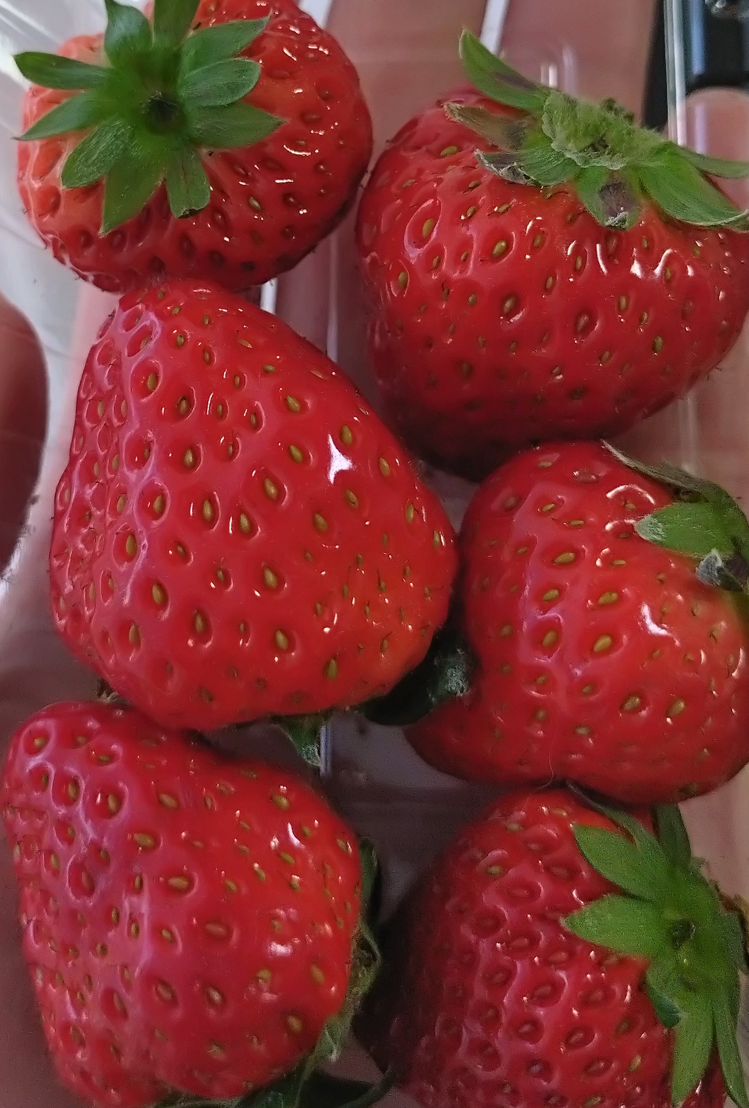 最高！と思ういちごを教えて下さい🍓私は古都華です。古都華がデビューするまではあすカルビーが好きで奈良県って密かにいちごの名産地だったんですね🍓