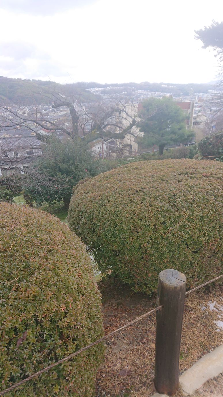 好きなボカロ行ってみよ！