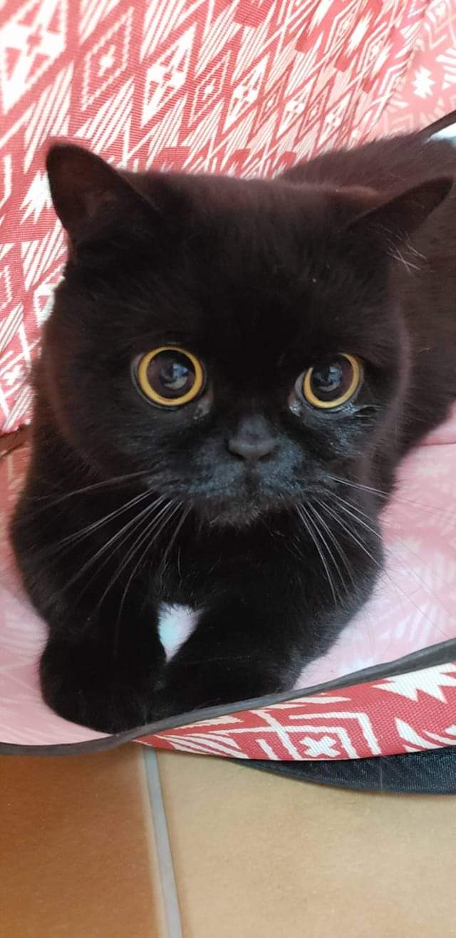 皆様に質問です