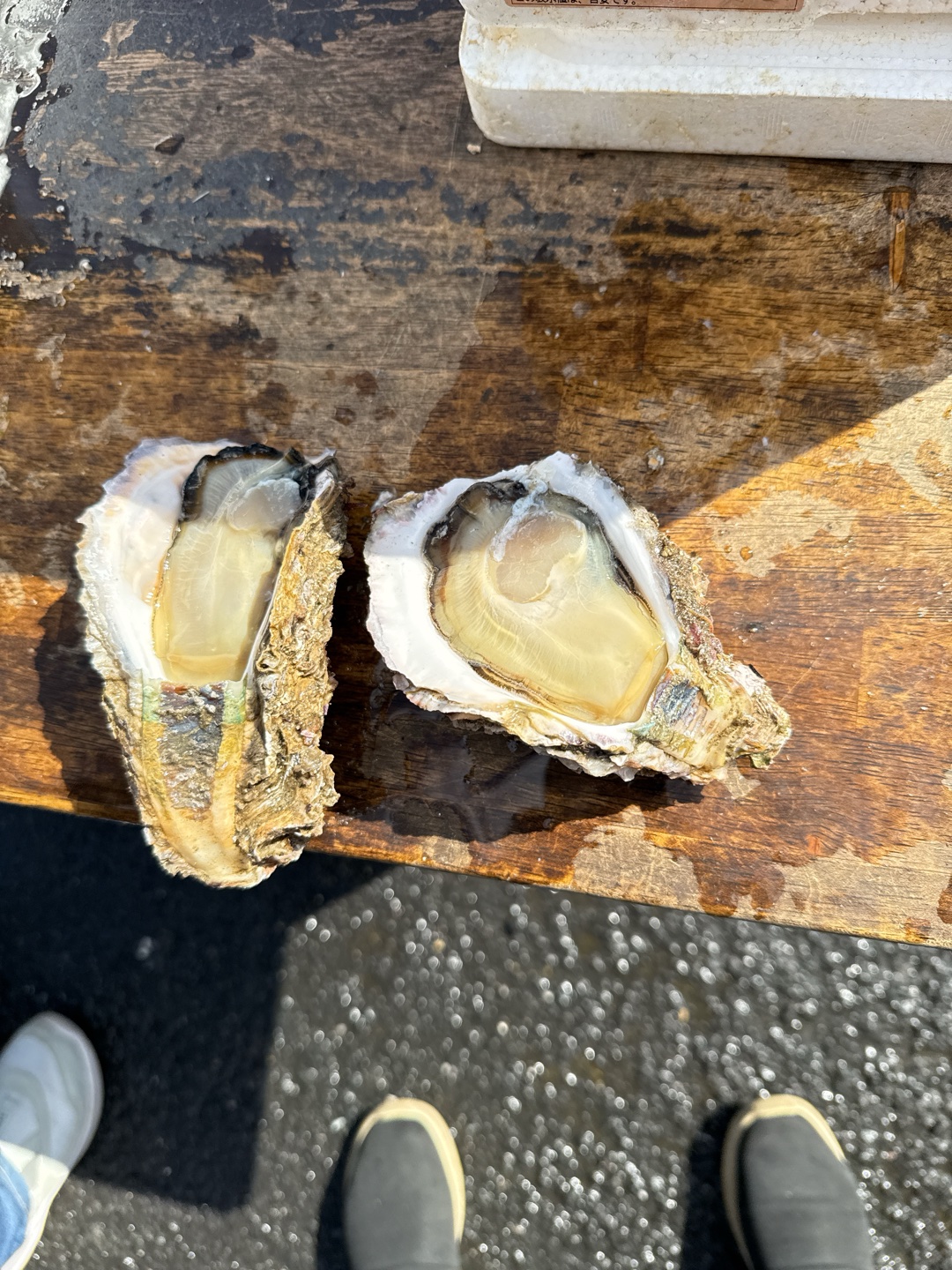 ポジティブな内容。