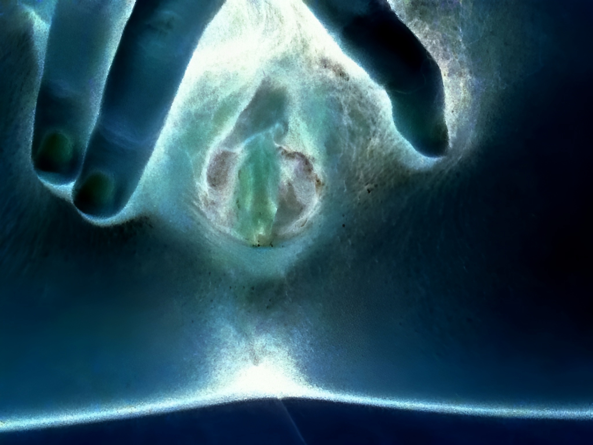 これなーんだ🫶🏻🤍