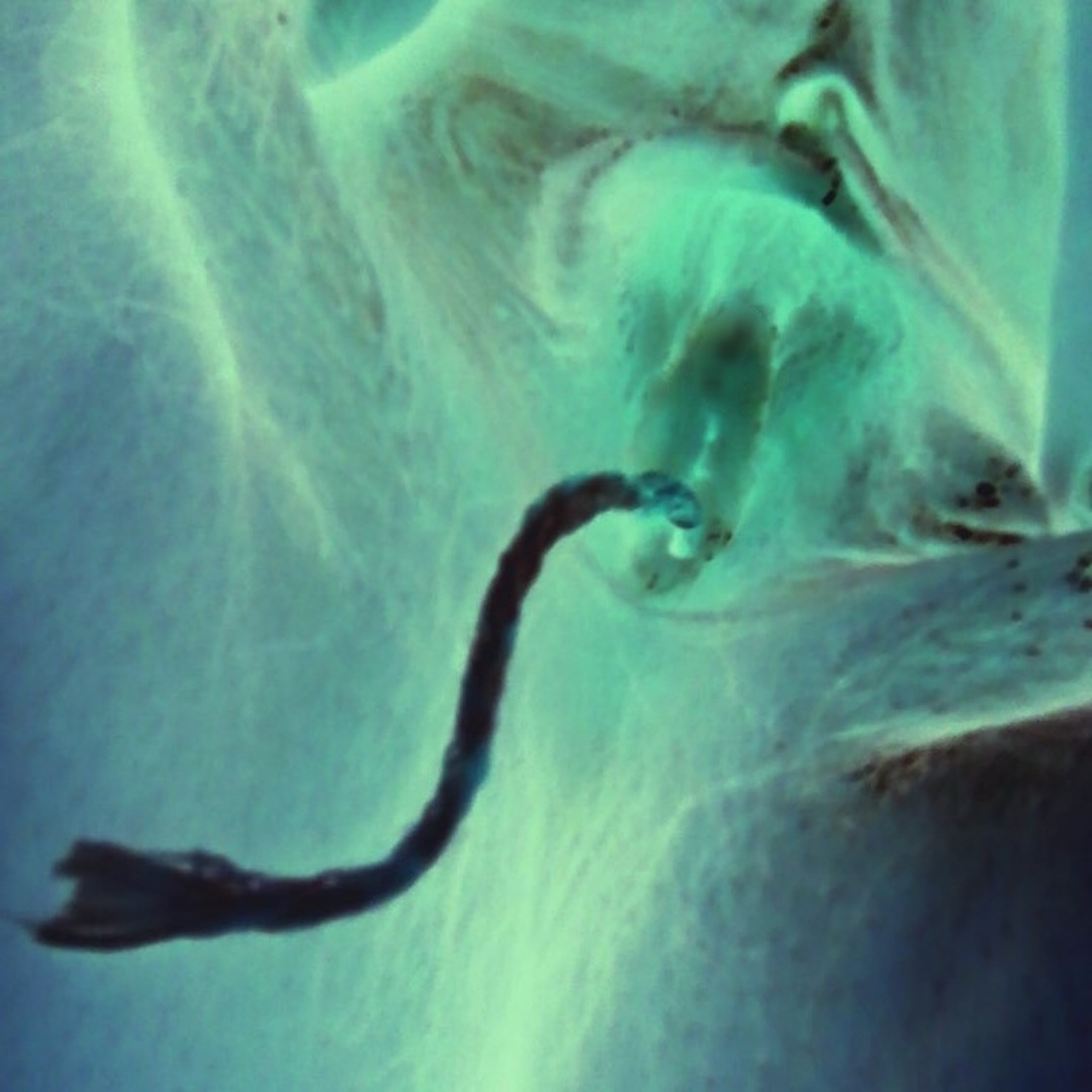 めっちゃ村(〃ω〃)♡