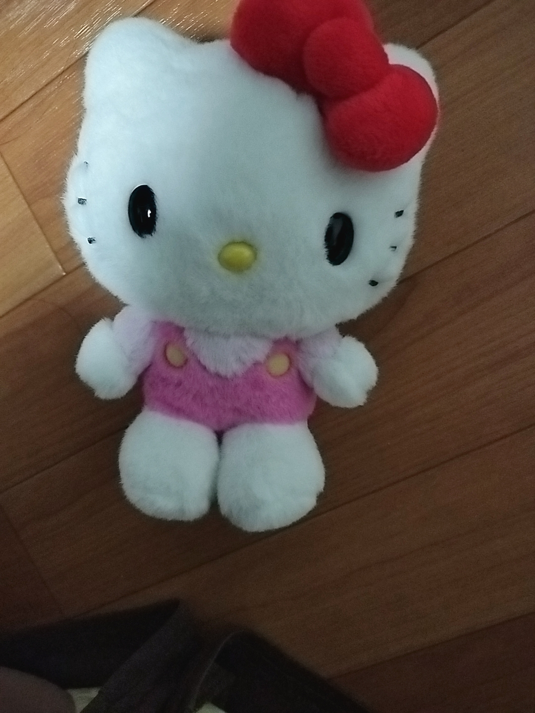 2人のピンクキティーちゃんどっち派？