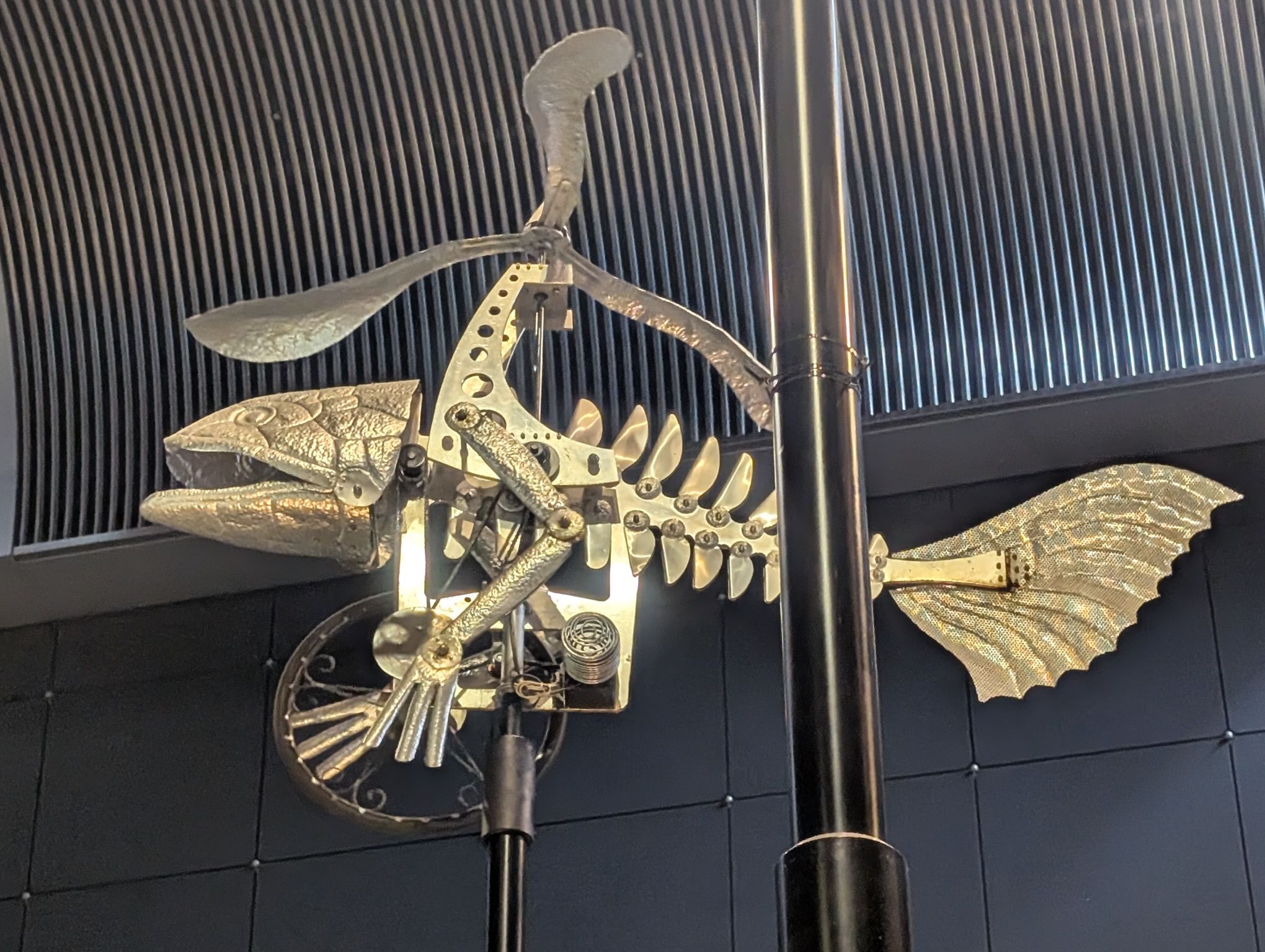 なんと言ってますか?