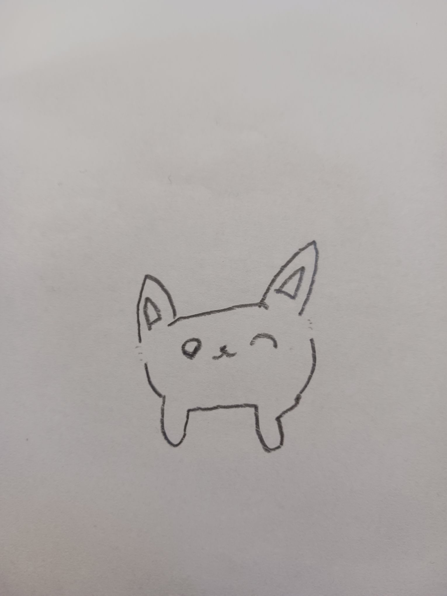 この子に名前をつけてもらえませんか？