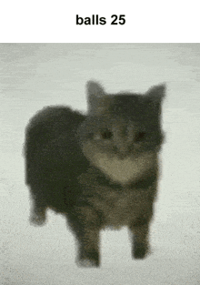 拾い画で『#雰囲気』と付け足し投稿する人についてあなたはどう思いますか?