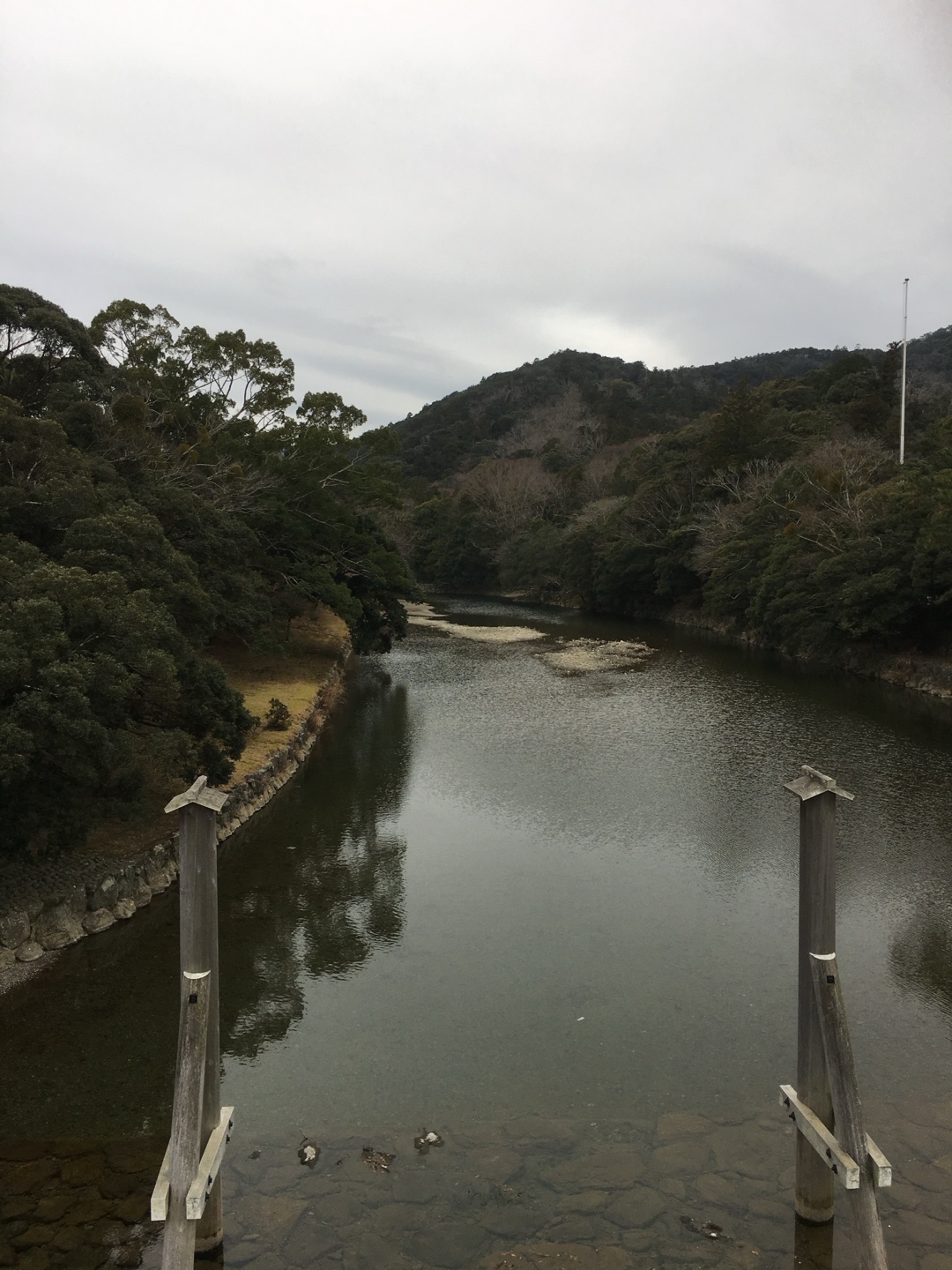 自分のルーツになった作品は?