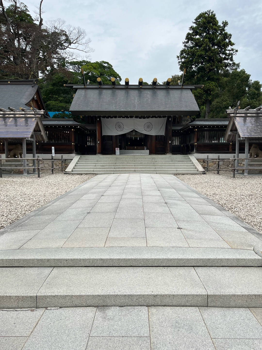 写真フォルダの一番を見せてください。ジャンル問いません