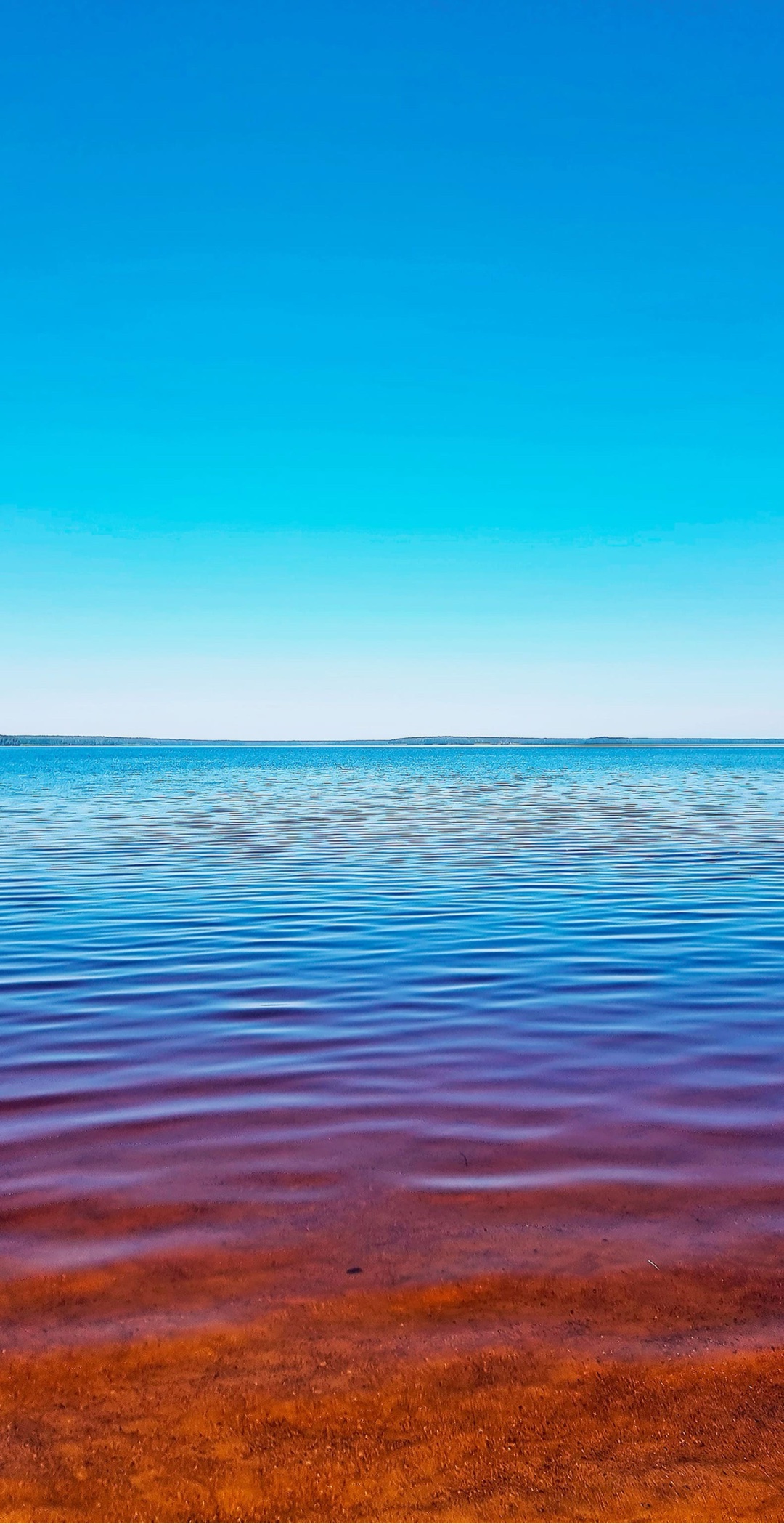 結局、学歴は大事だし、年収も大事だよ
みたいな投稿に、毎回、
40代や50代の、まともなホワイトカラーの職に就いてない低所得者層の独身おじさんが