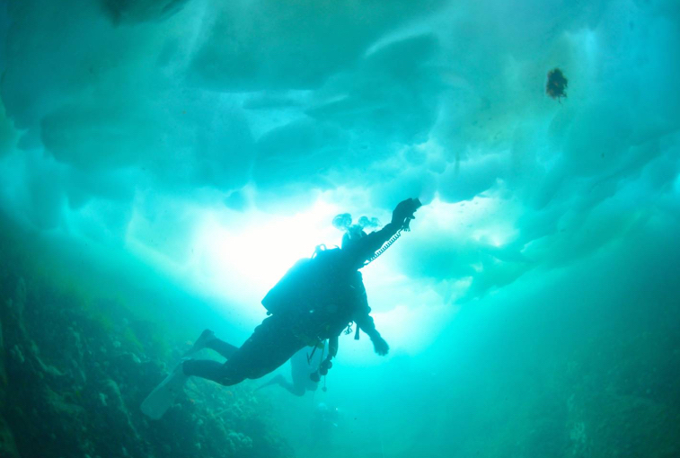 行ってみたいスキューバダイビングスポットは？
