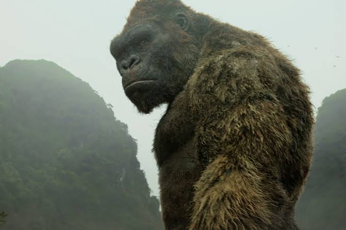 もし自分が怪獣だとしたら…↓