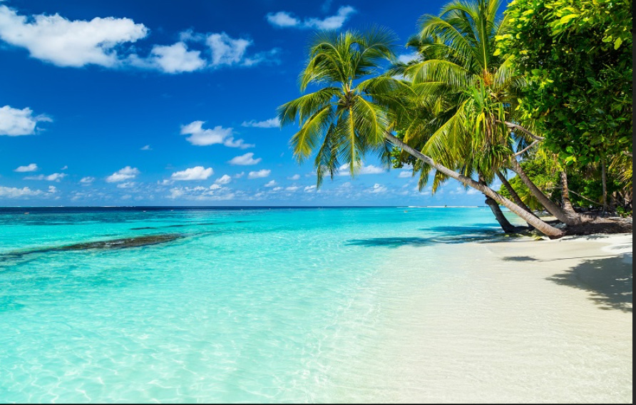 今年の夏にしたい事は何かありますか？