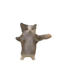 ねこは自分に文才がありすぎて怖くて震えてる:( '-' ):ブルブル