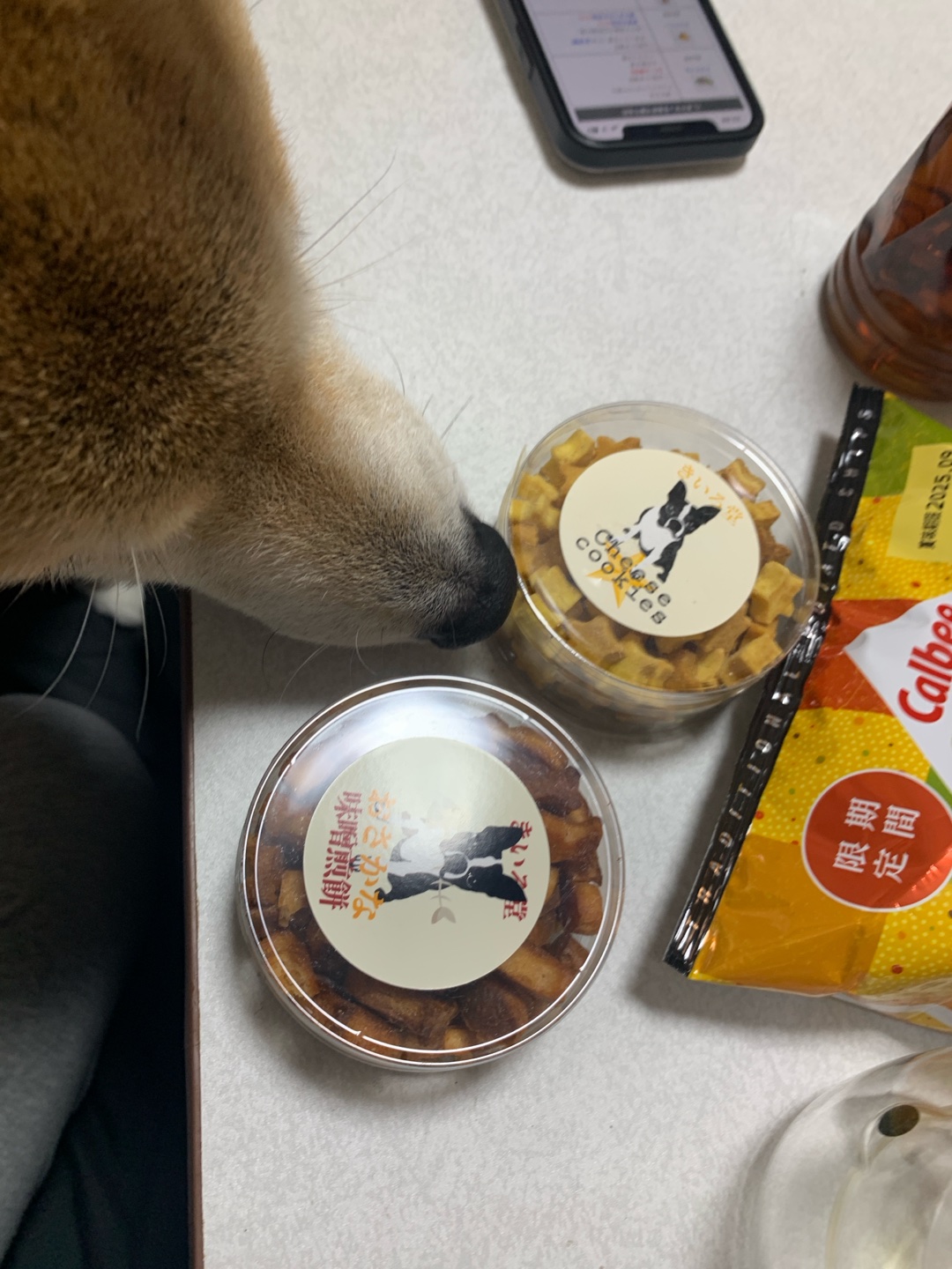 自分の寿命の残数が分かって、それを分けてあげる事が出来たら、あげる?誰にあげる?それとも貰いたい?