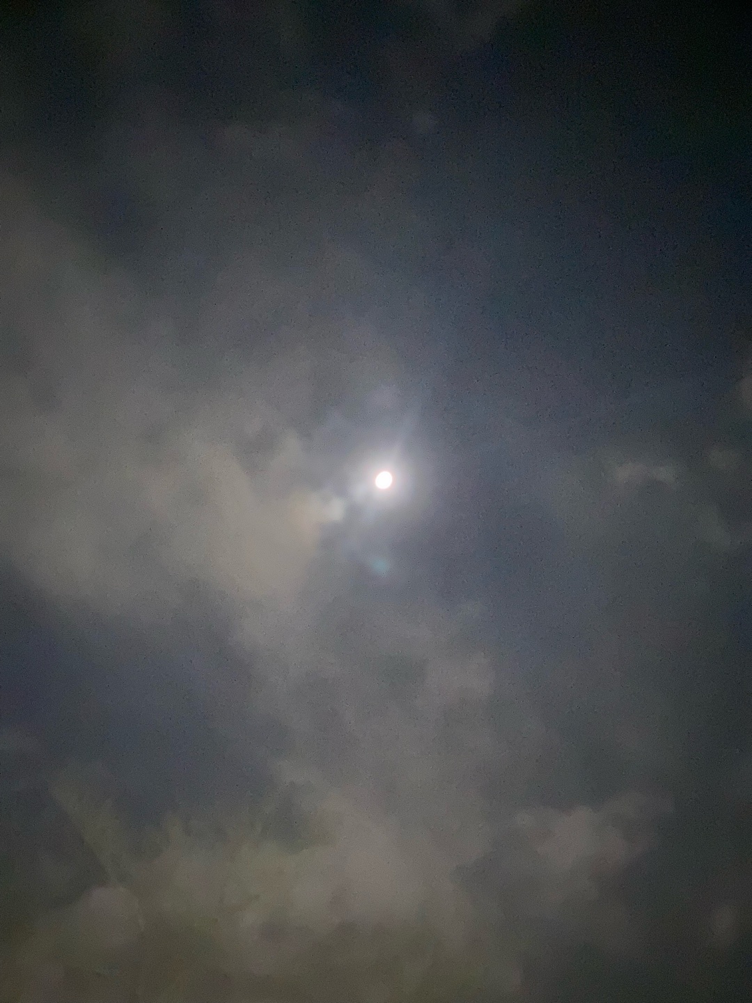 ボーイッシュの反対は？