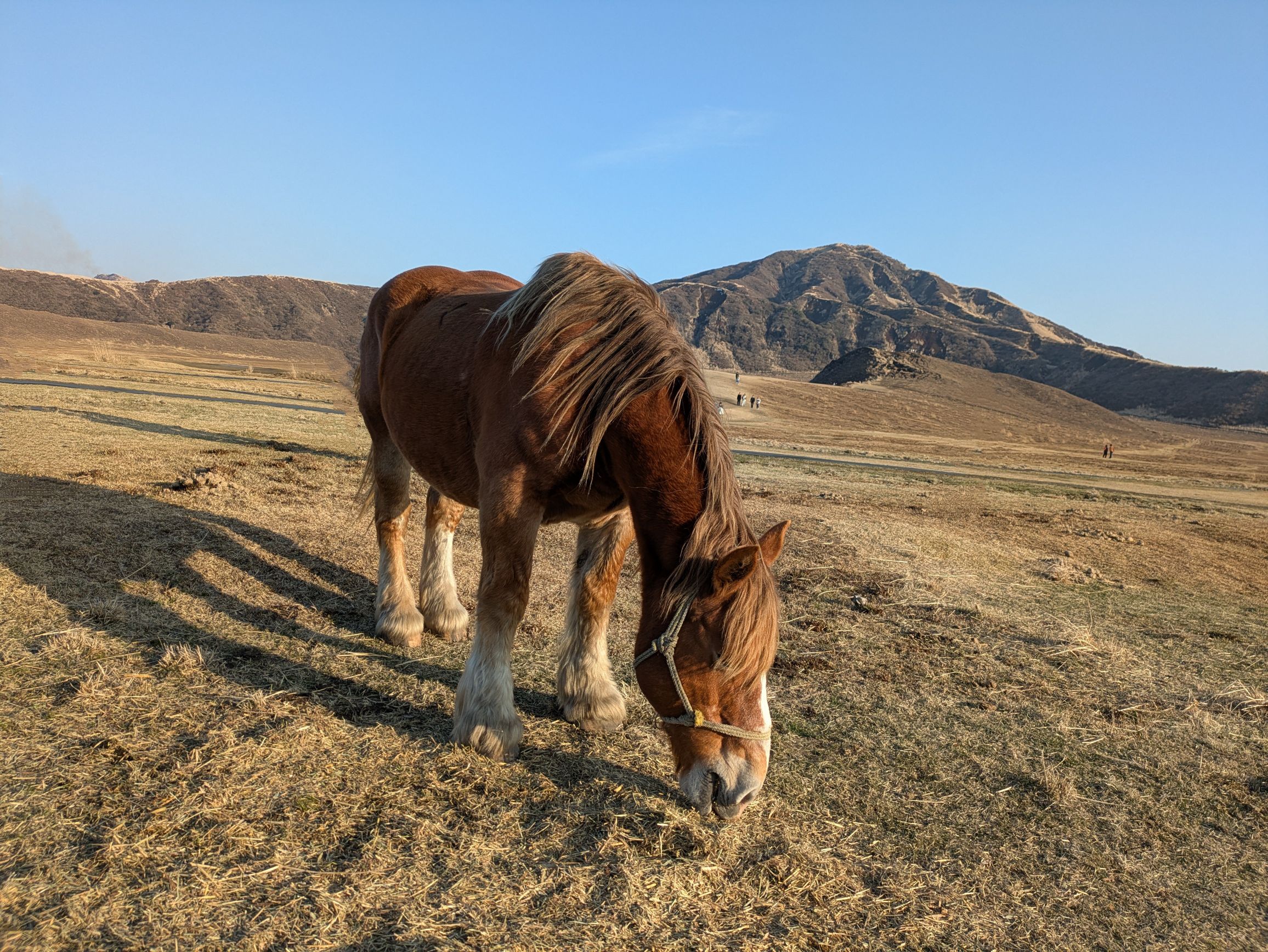 私から皆様へ質問です！