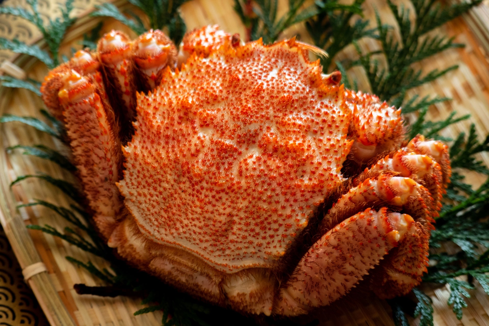 脱毛は何処までしてる？