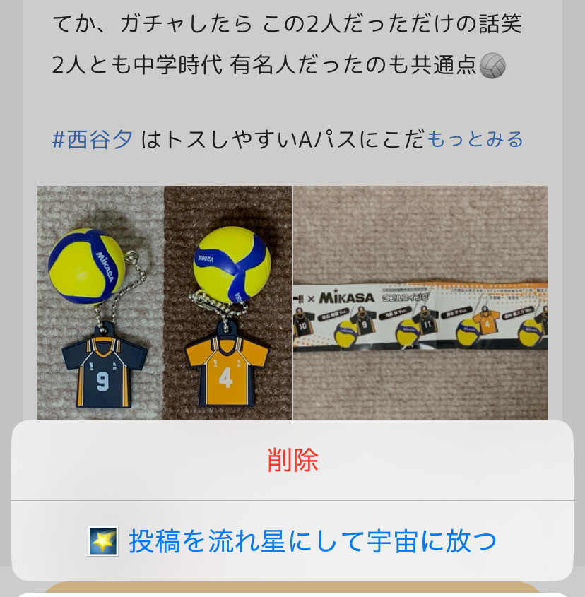 「投稿を宇宙に放つ」とは？