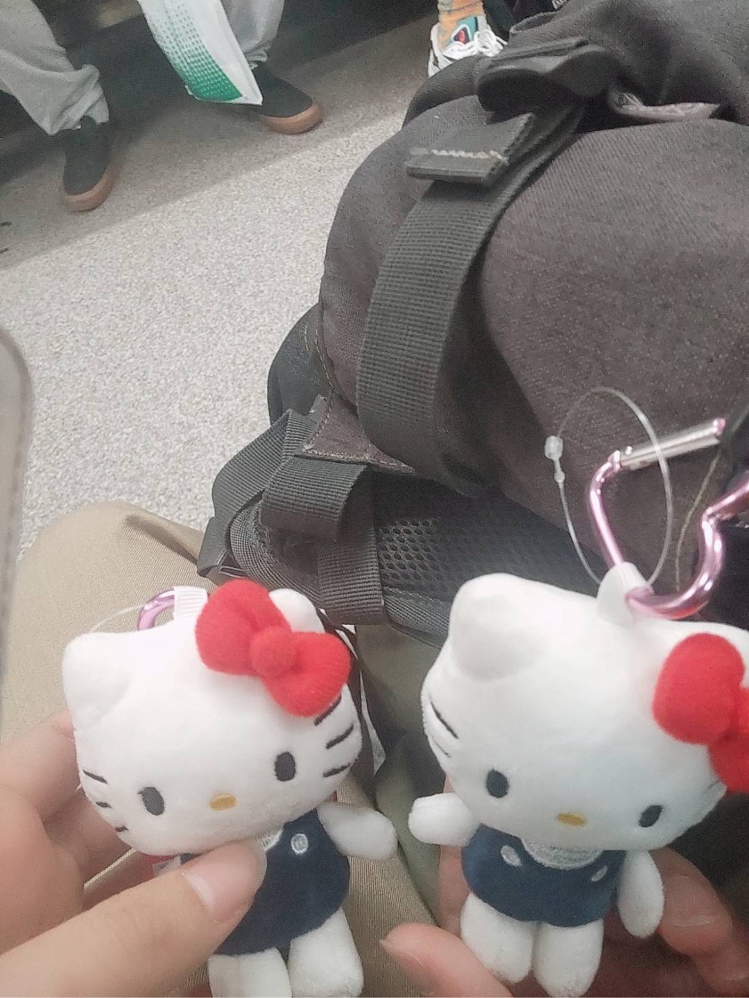 ねことねこのねこはお出かけ^. .^ ੭