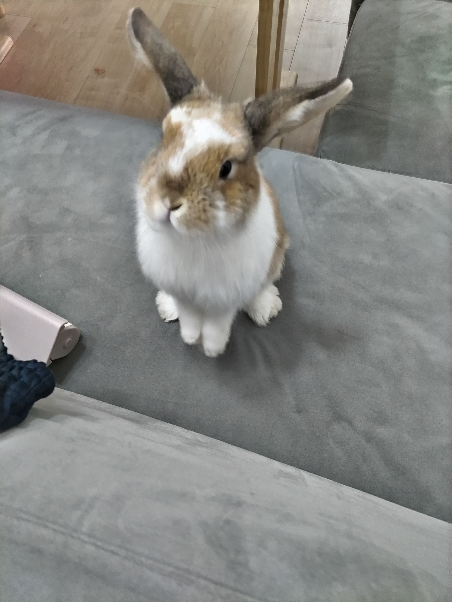 自分の自慢できる事を教えてください        (❁´ω`❁)