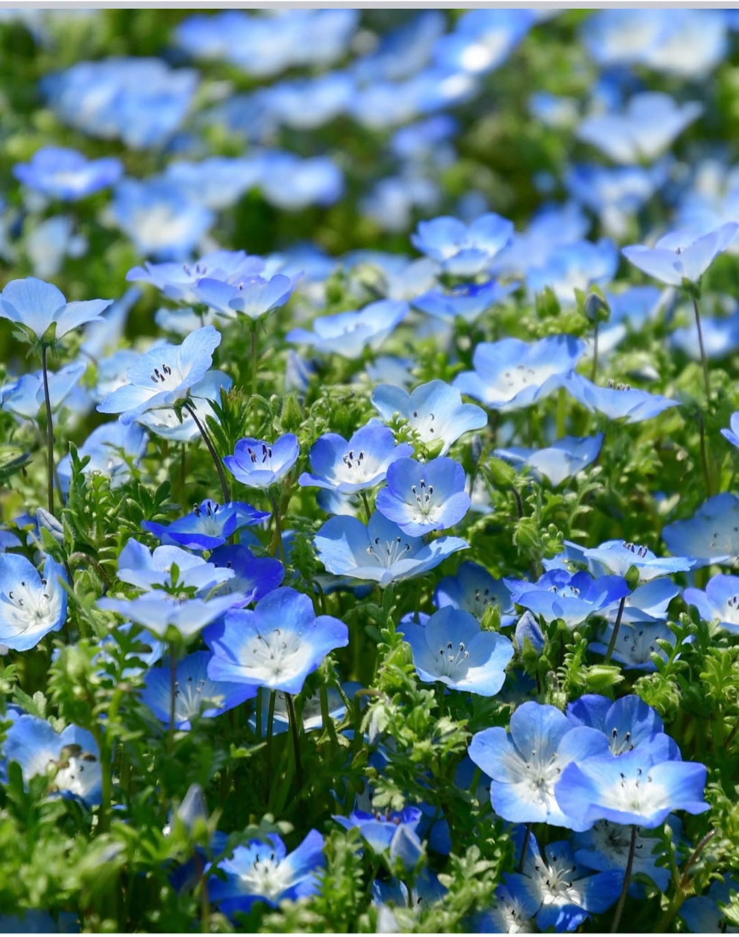 1人旅、車ナシなら、旅行は?(^^)