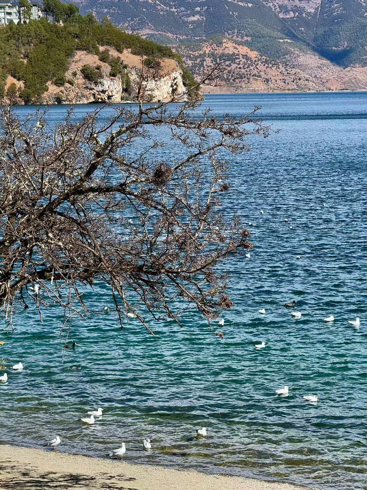 中国の[泸沽湖]です
