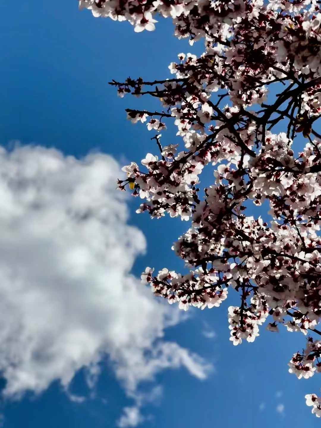 中国の[泸沽湖]です