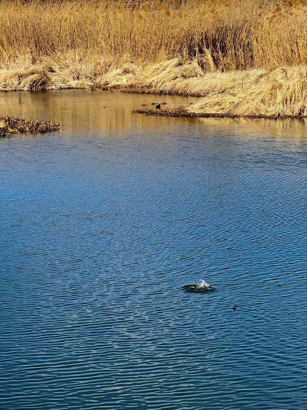 中国の[泸沽湖]です