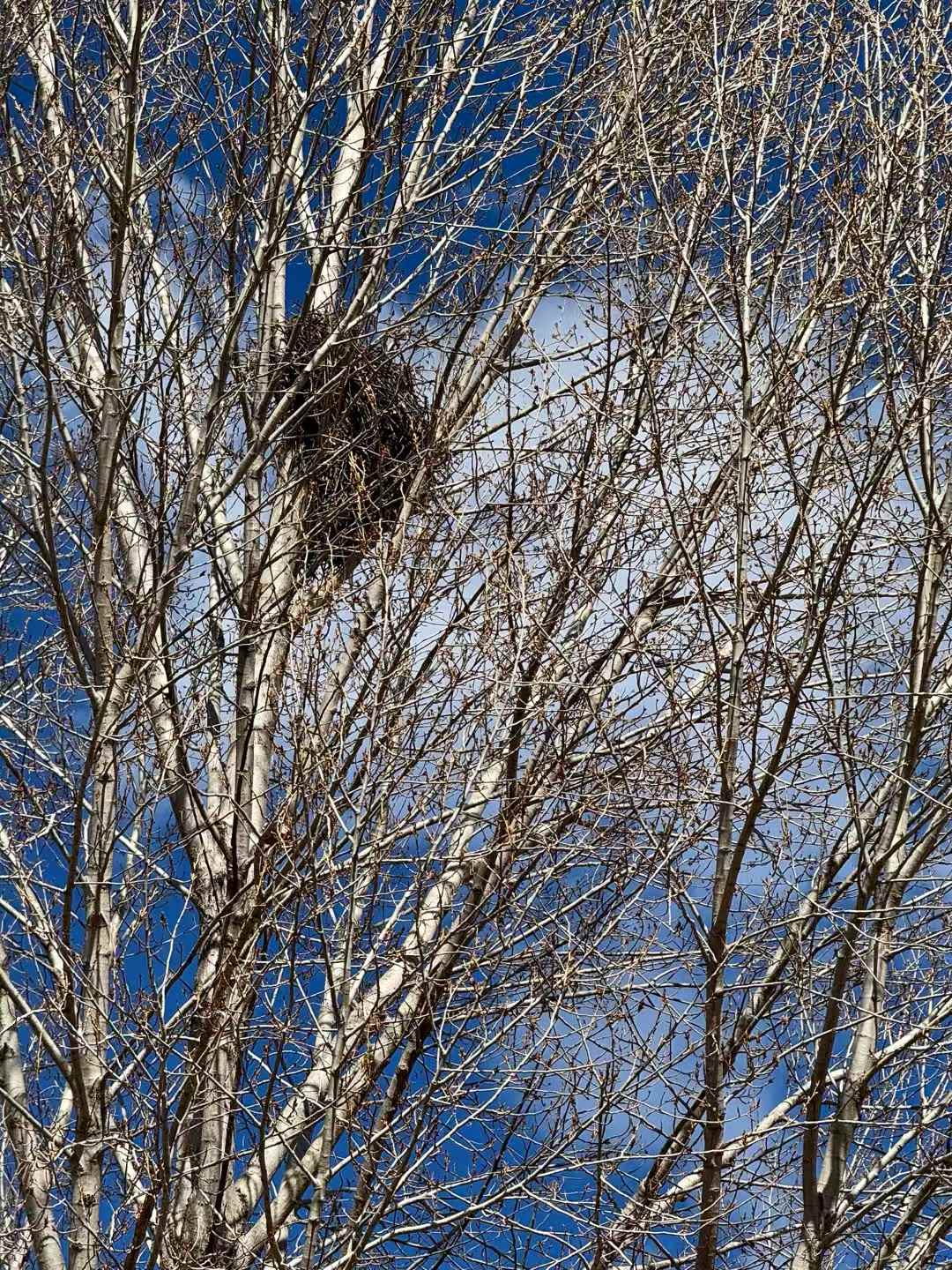中国の[泸沽湖]です