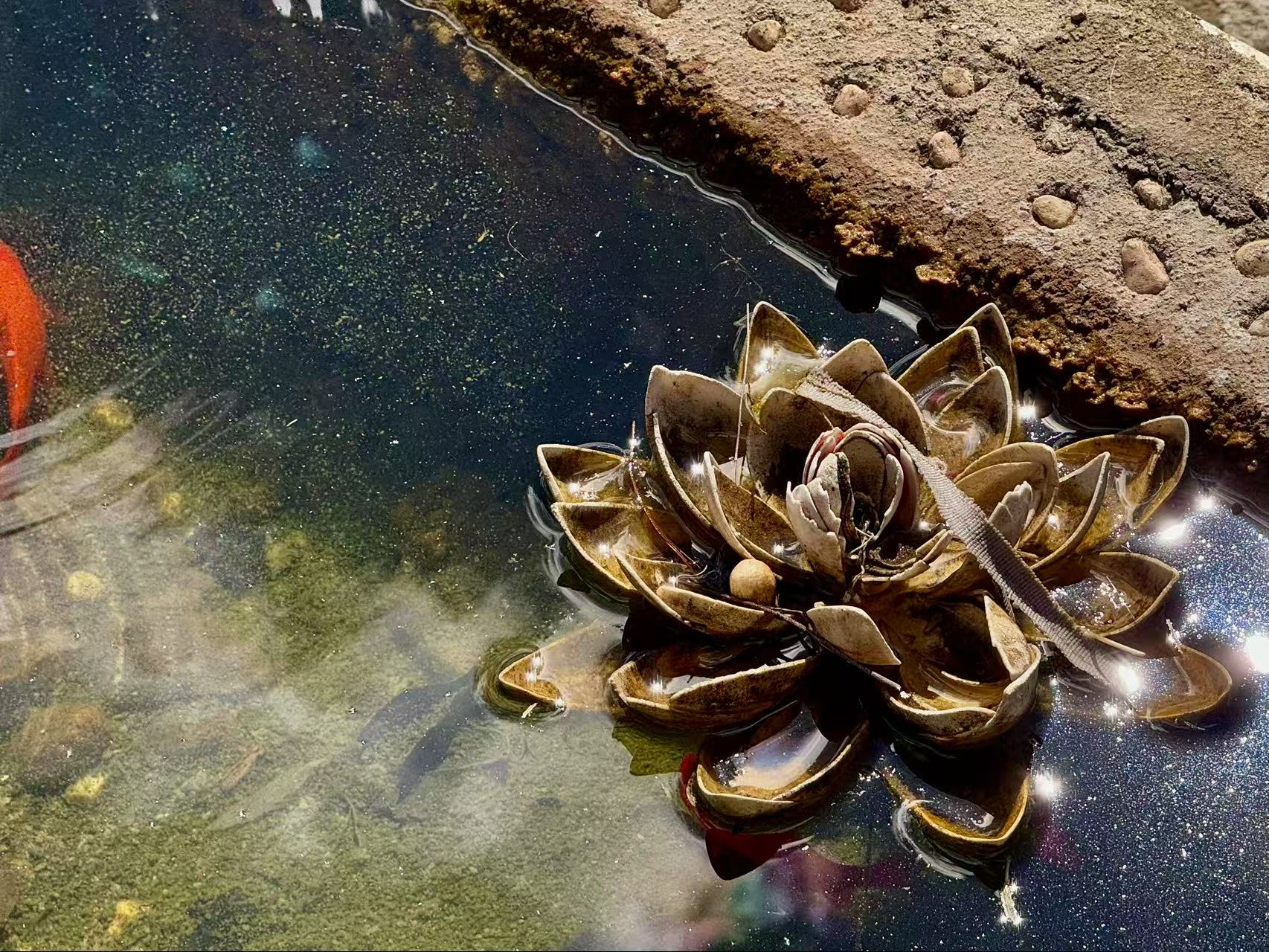 中国の[泸沽湖]です