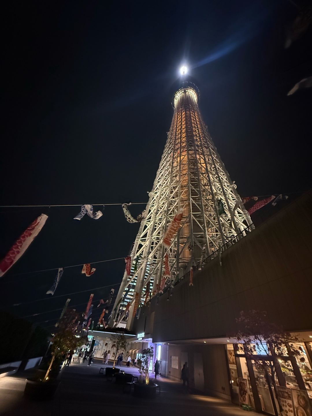 好きな写真、のっけて(^^)