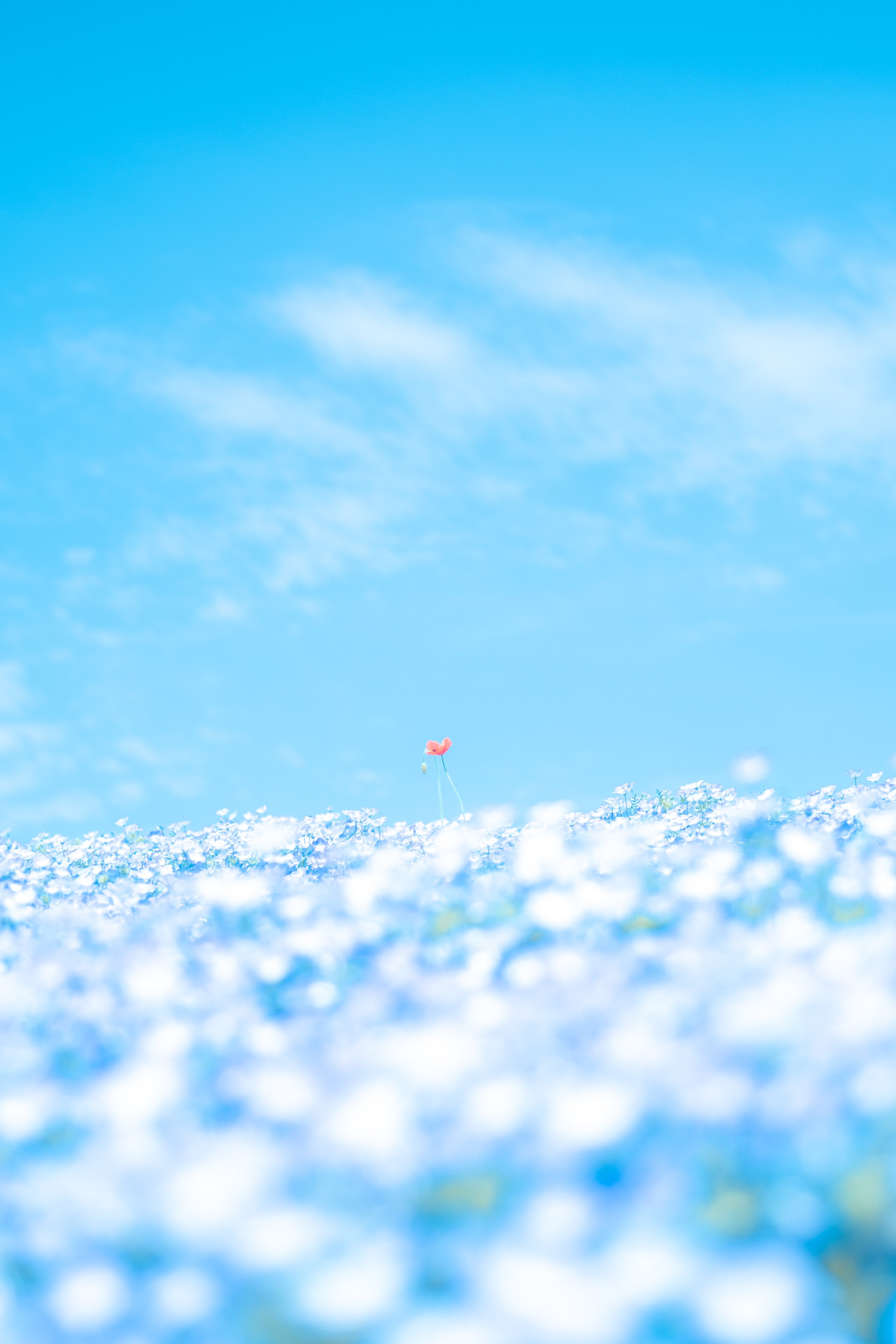 恋人に別れを伝える時は 会って？電話？メッセージで？どうやって？