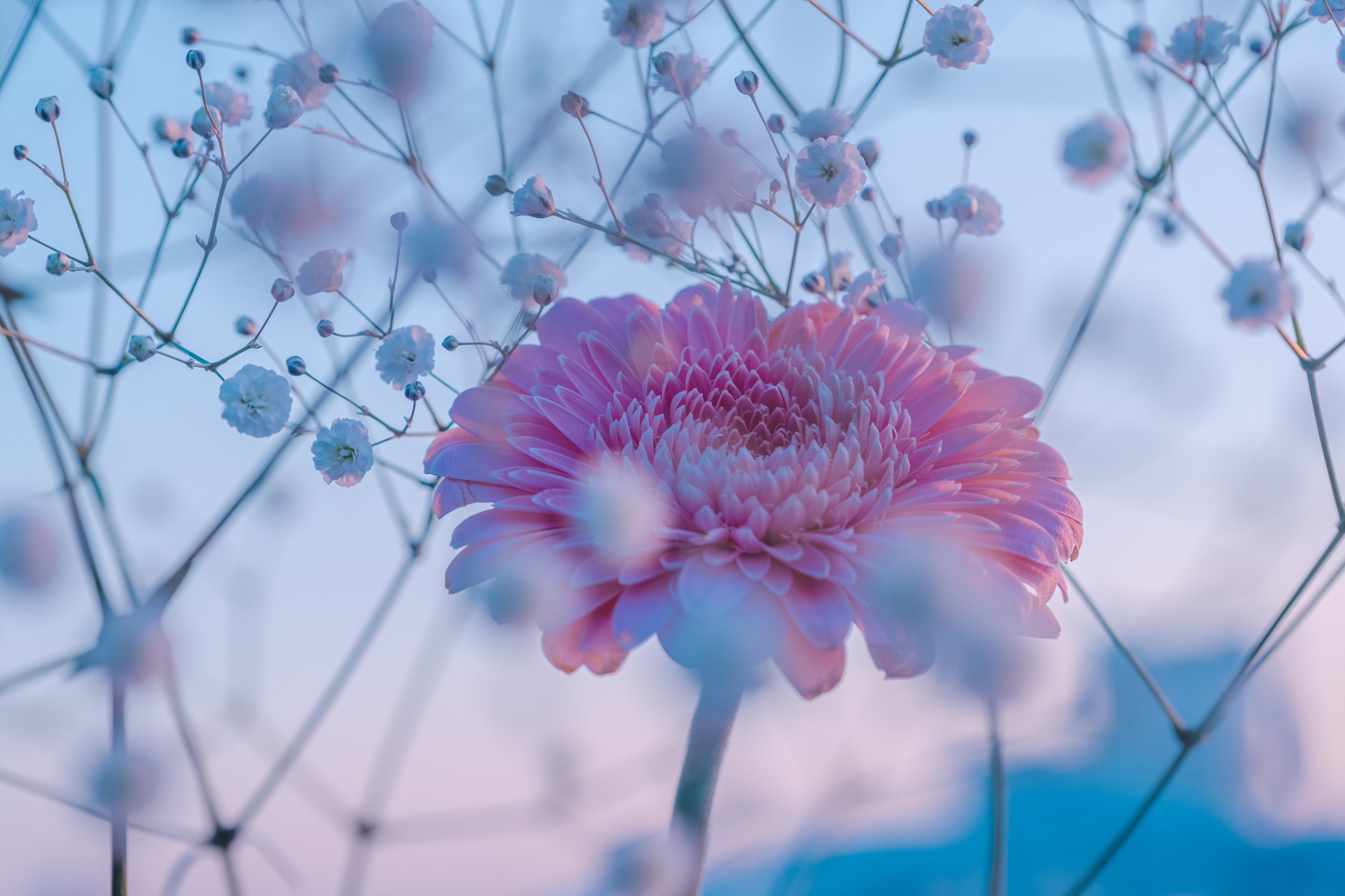 あなたが思うベストカップルは？(映画・小説・漫画・アニメ・ドラマetc)