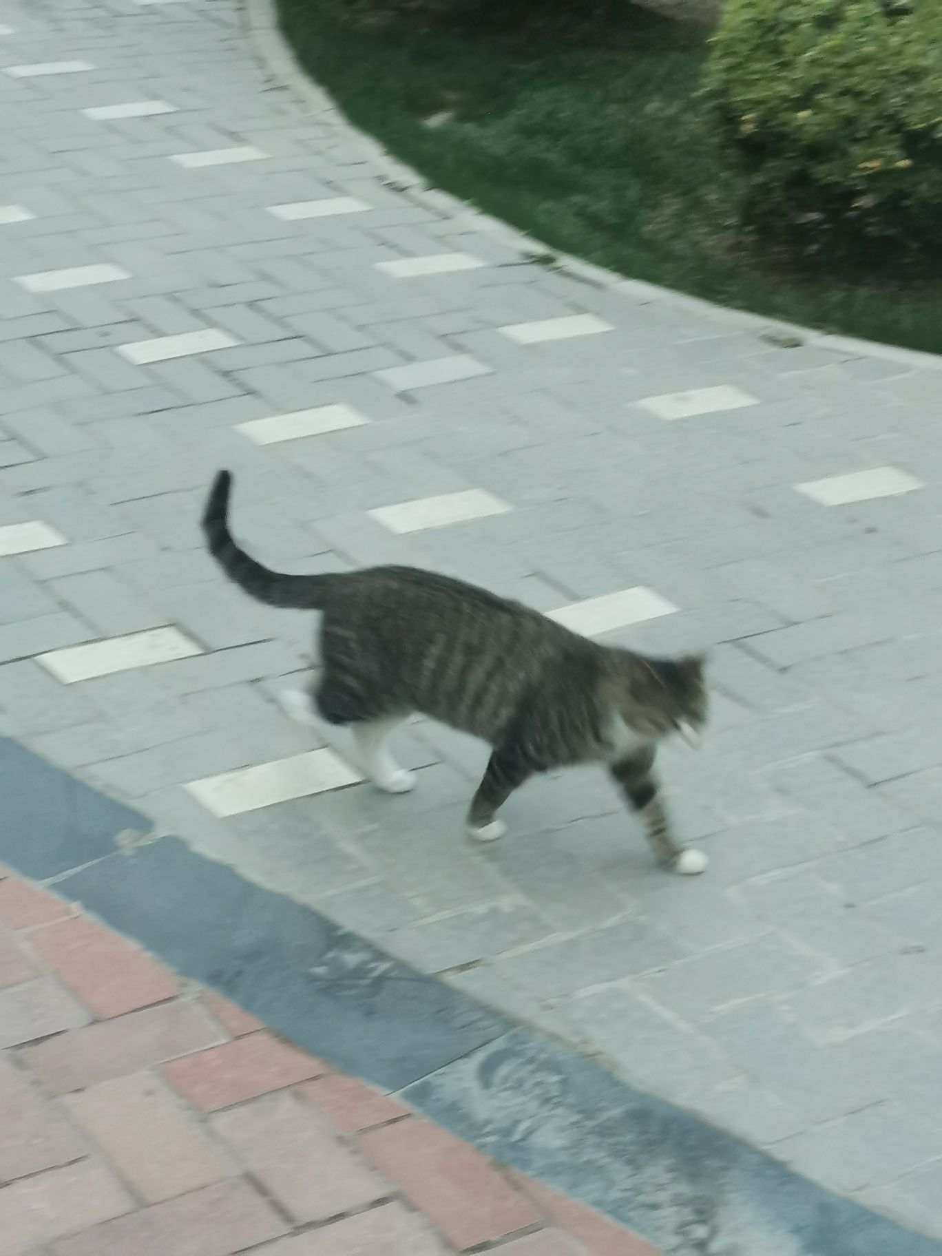 ある試験6回受験、ずっと合格できなかった...でも必ず合格しなきゃ、もはや苦しくなる状態で毎日過ごしてるから、どうしたらいいか教えてください!