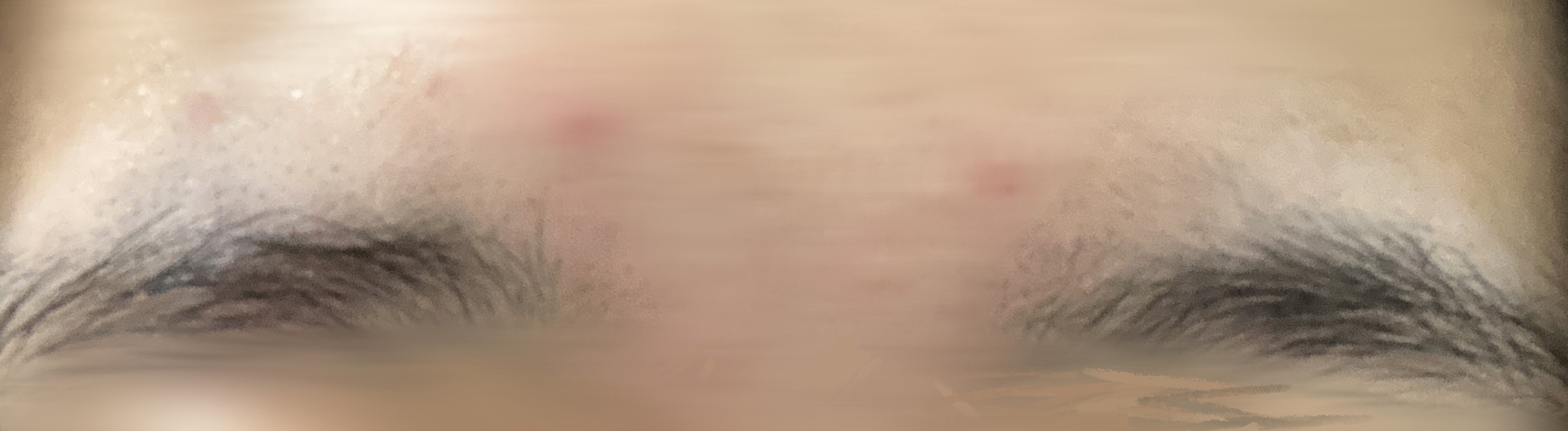 この眉毛、やっぱり剃りすぎですよね😭😭