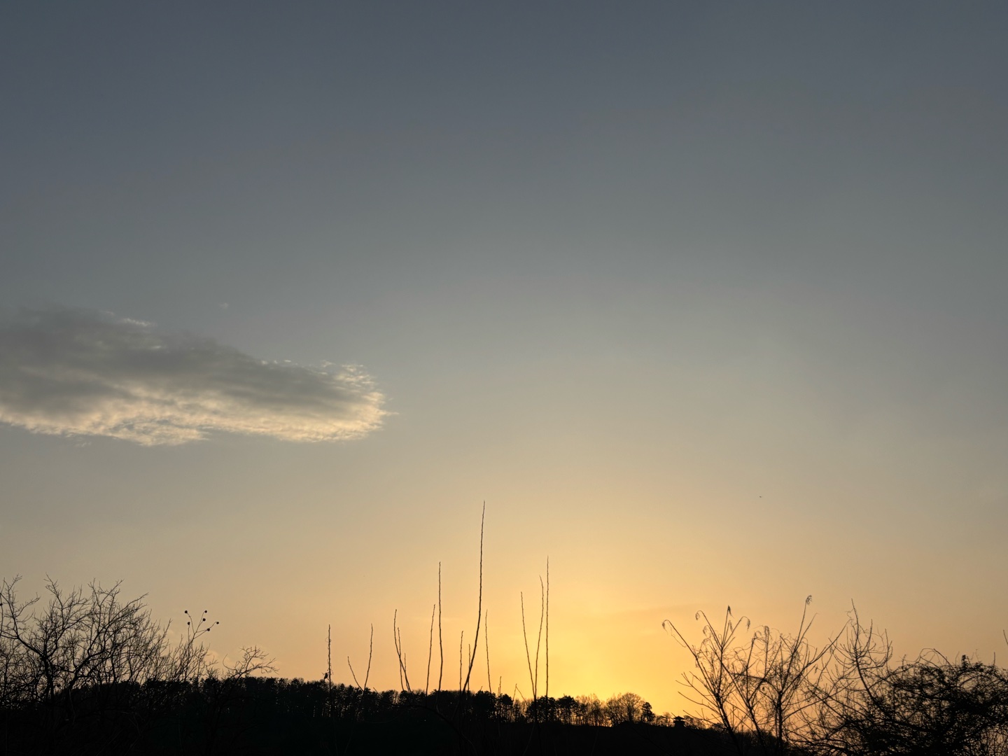 パートナーが欲しい私…。そんな私にアドバイスください。