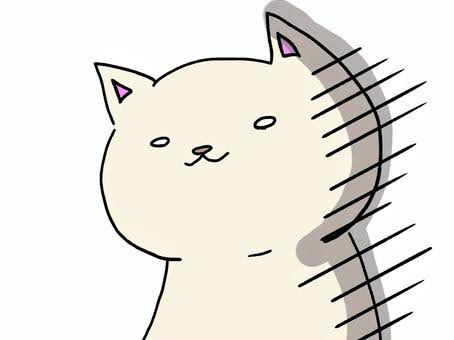 女性の方に質問です*_ _)ﾍﾟｺﾘ