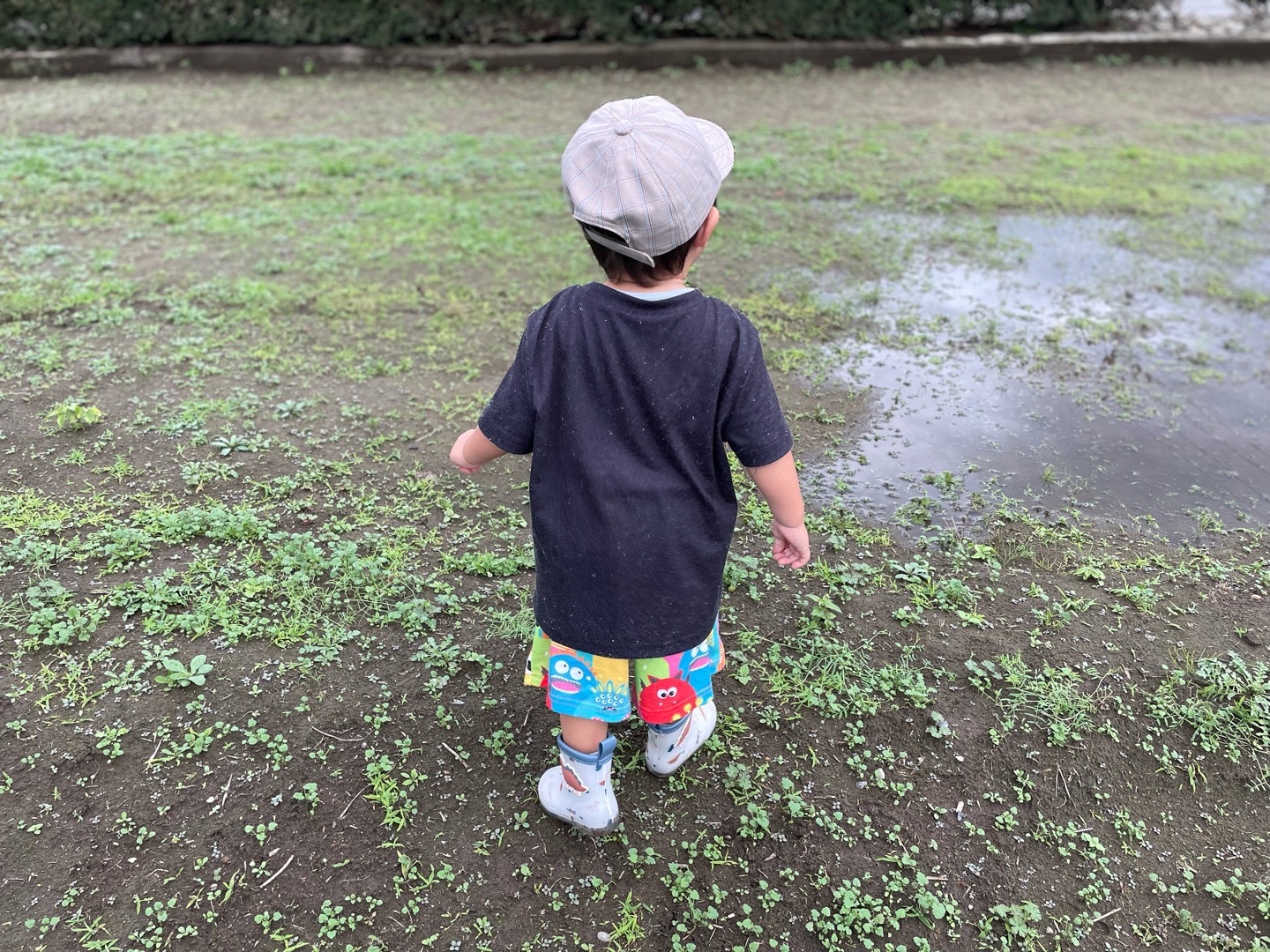 後ろ姿の写真をお願いします