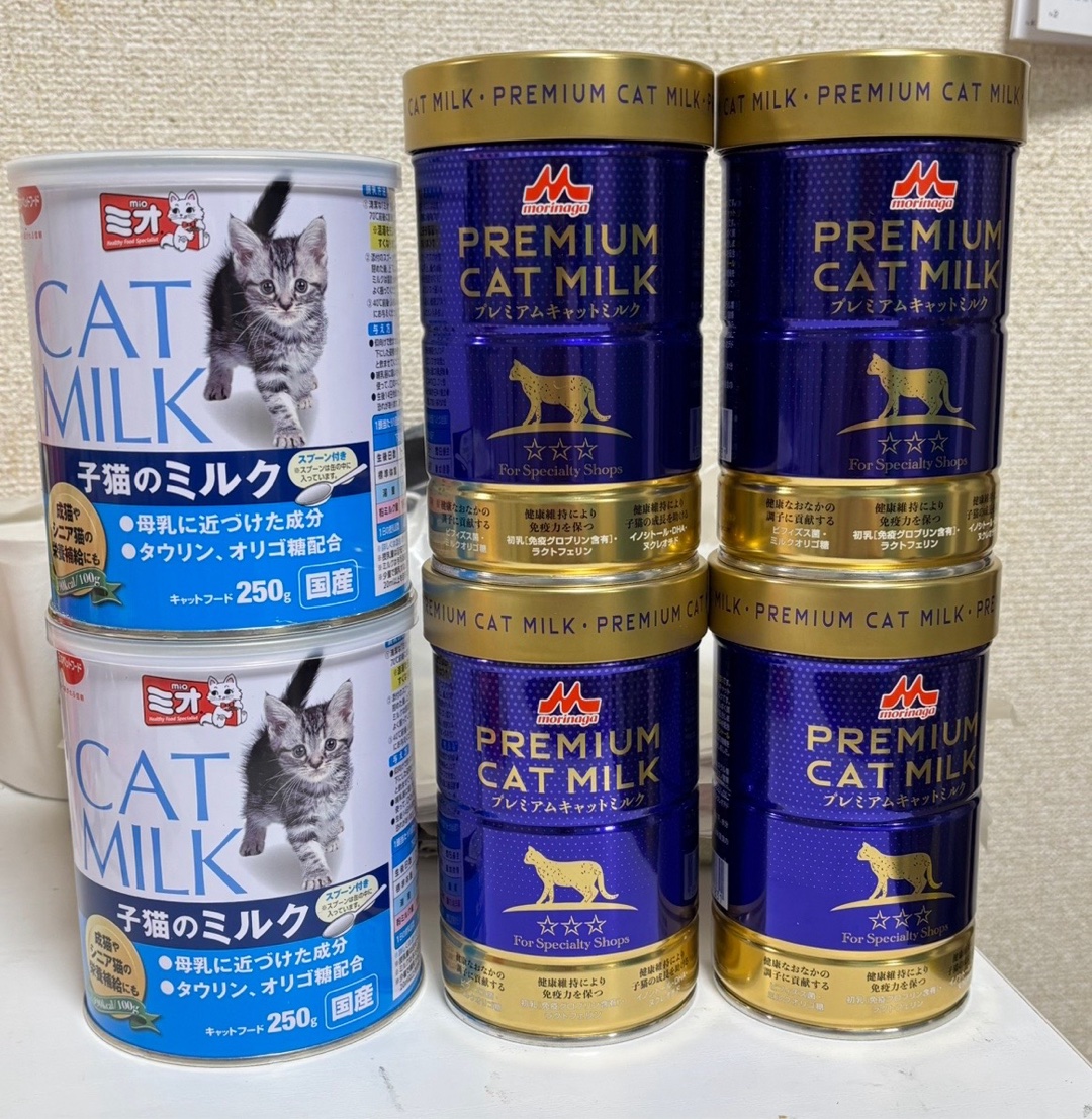 保護猫･愛猫ちゃんたちにはどんなフードをあげてますか？
