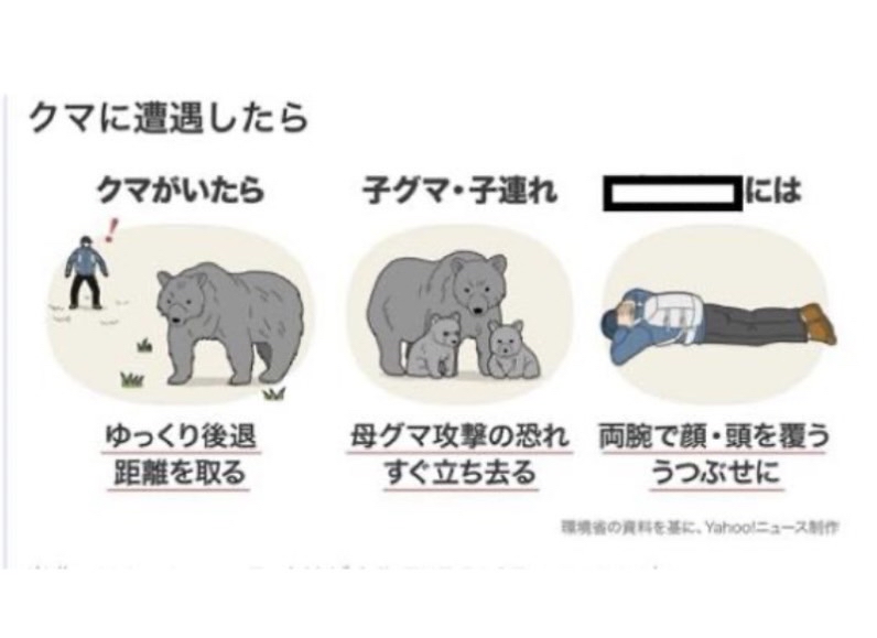 クマに遭遇したらどう対処しますか？