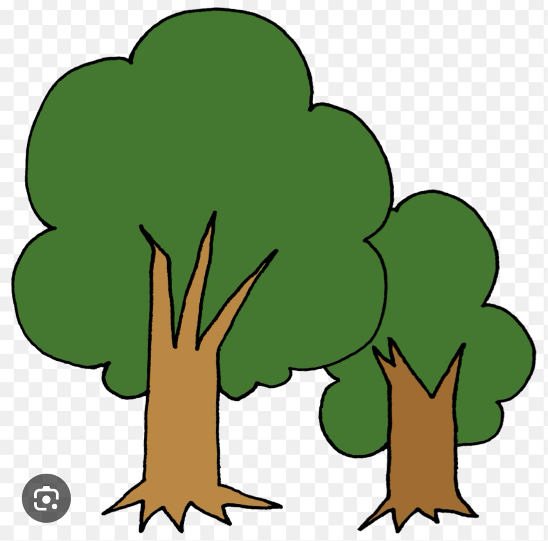 林サン、と言えば(^^)