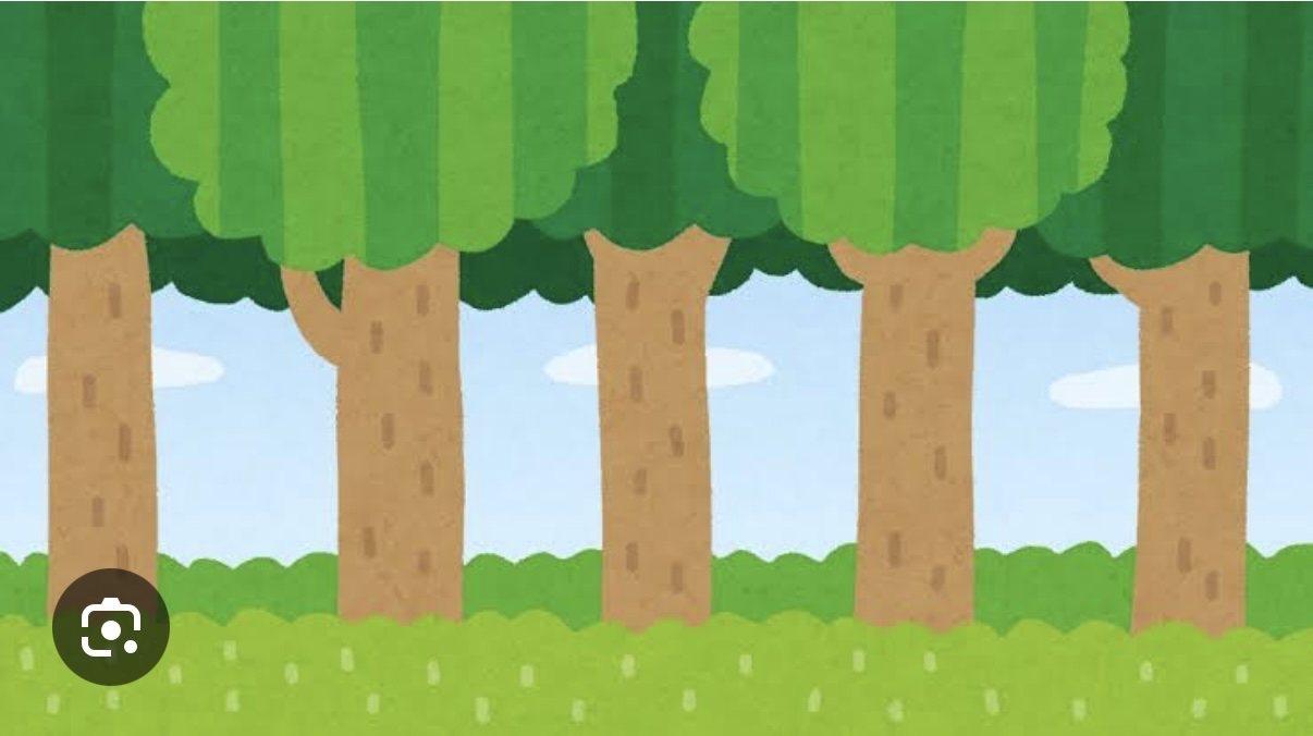 森サン、と言えば(^^)