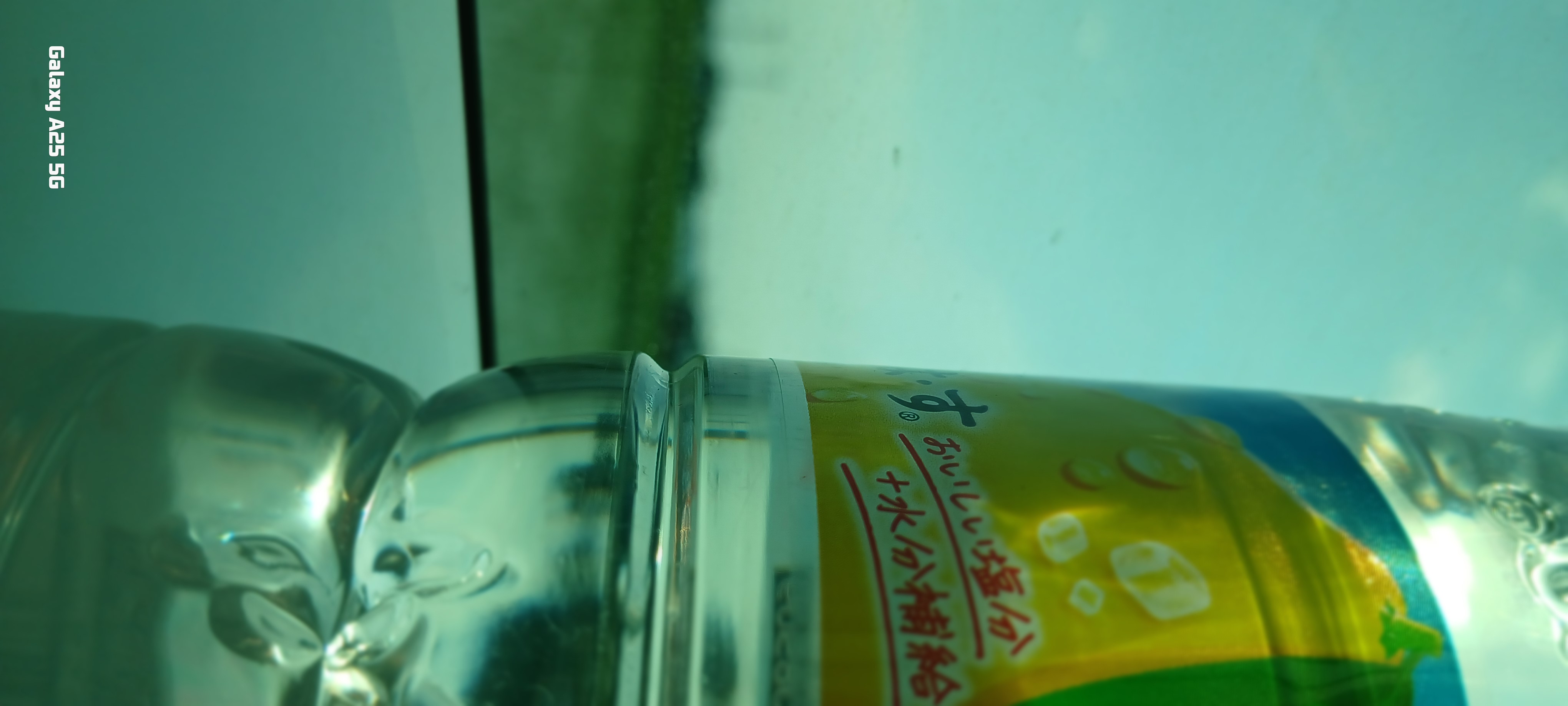 何の写真を撮ることが好きですか？