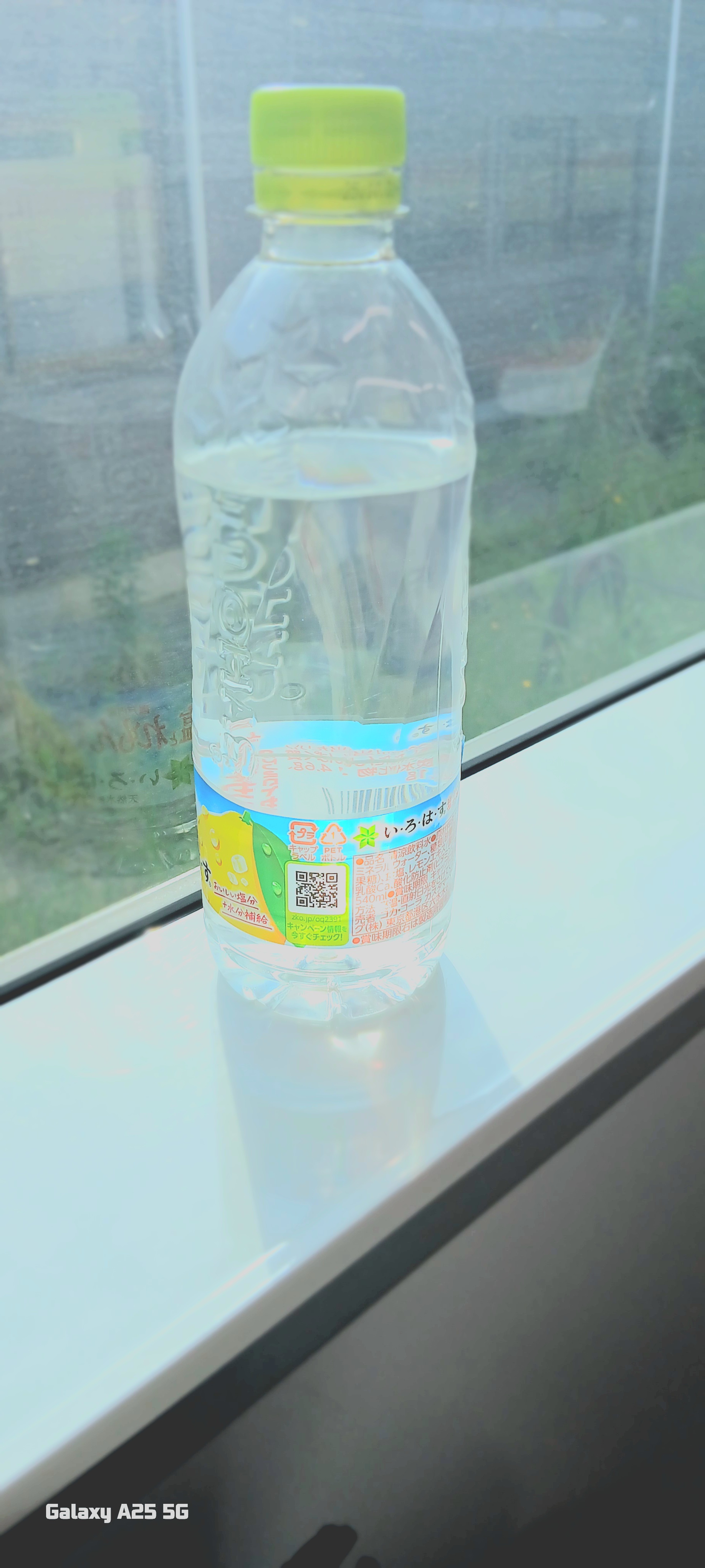 何の写真を撮ることが好きですか？