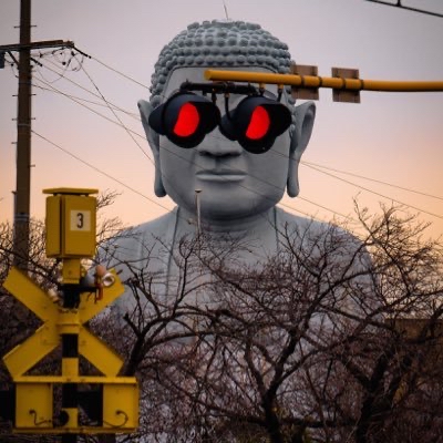 何でこれを撮ったのか…選手権